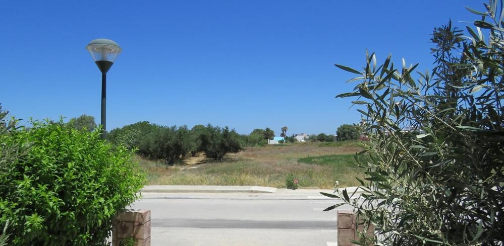Elia Mare Apartment Mastichari  Buitenkant foto